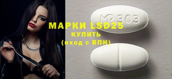 ПСИЛОЦИБИНОВЫЕ ГРИБЫ Ельня