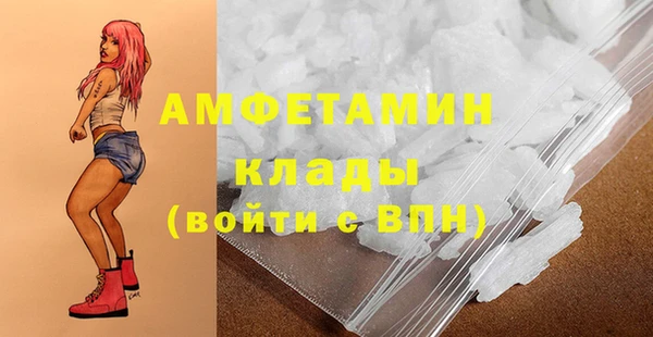 крисы Елабуга