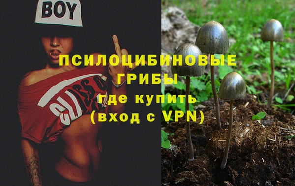 ПСИЛОЦИБИНОВЫЕ ГРИБЫ Ельня