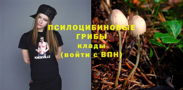 крисы Елабуга