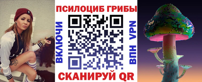 купить цена Печоры гидра как зайти Галлюциногенные грибы Psilocybe