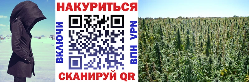 купить наркотик  Печоры  Конопля план 